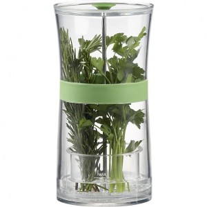 conserva erbe aromatiche