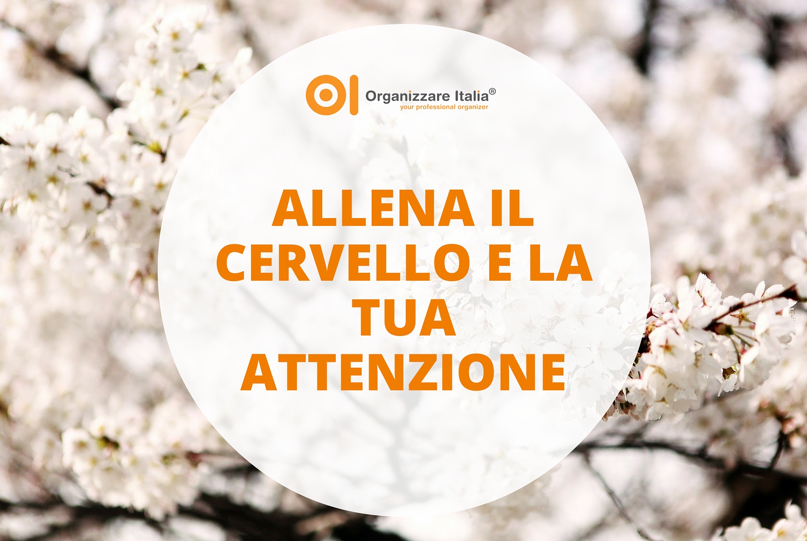 mindfulness 1620 x 1087