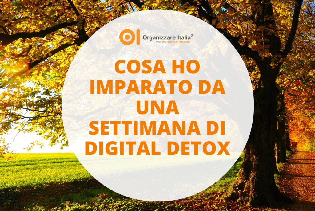 digital-detox-albero-oi